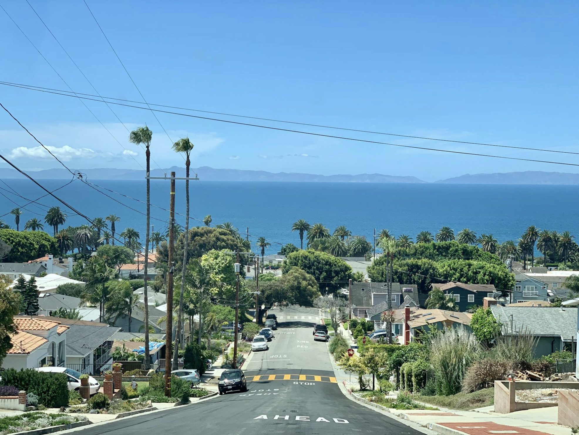 Screenshot 2026-02-09 at 7.59.37 PM